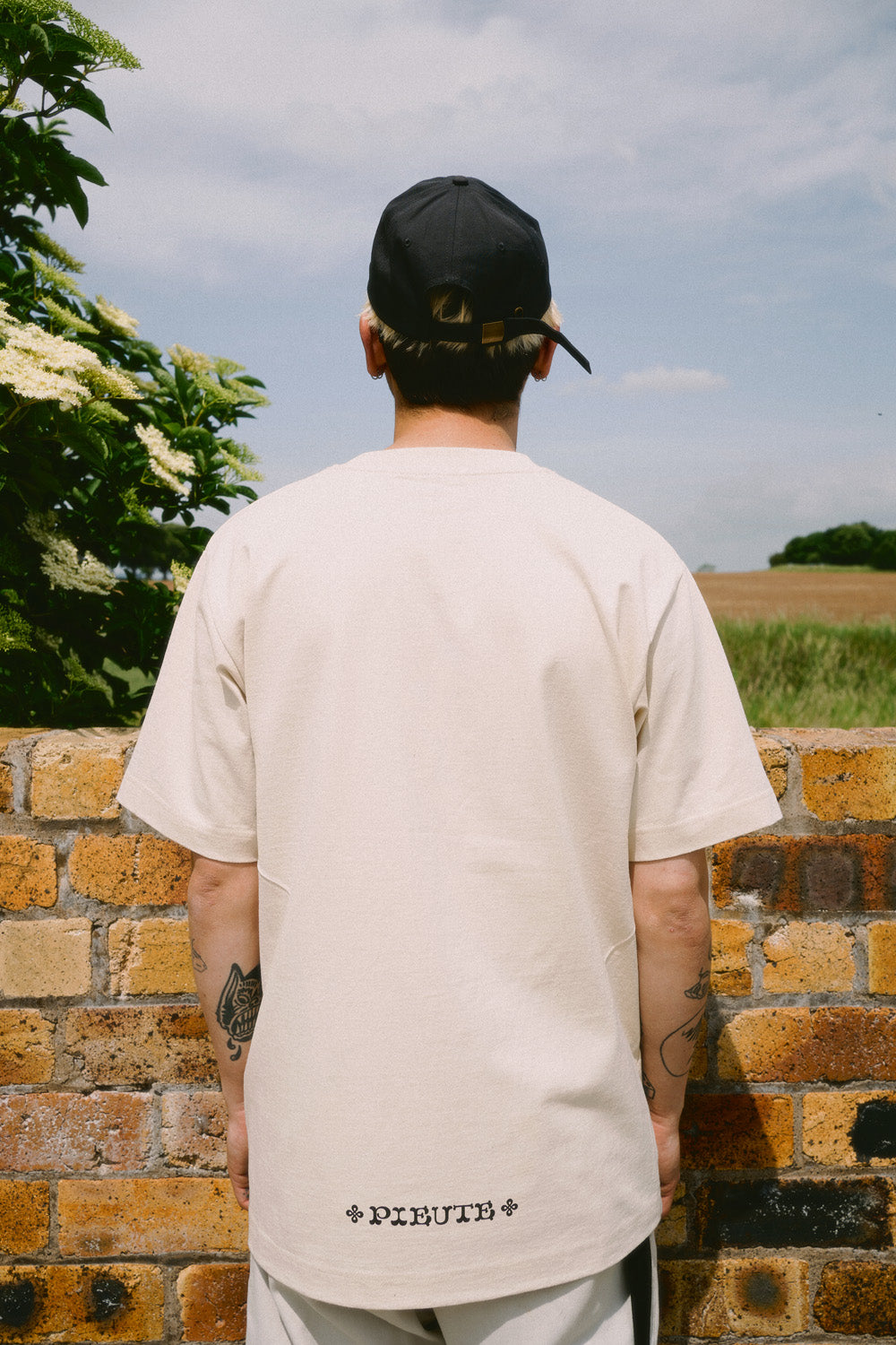 Celtic Lion - Natural Raw