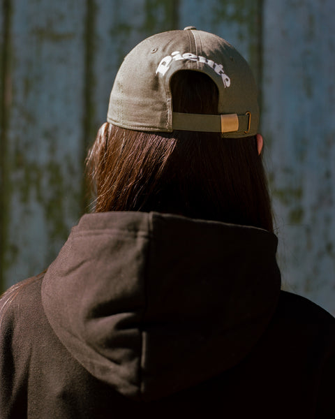 Celtic Lion - Luxury Hoody