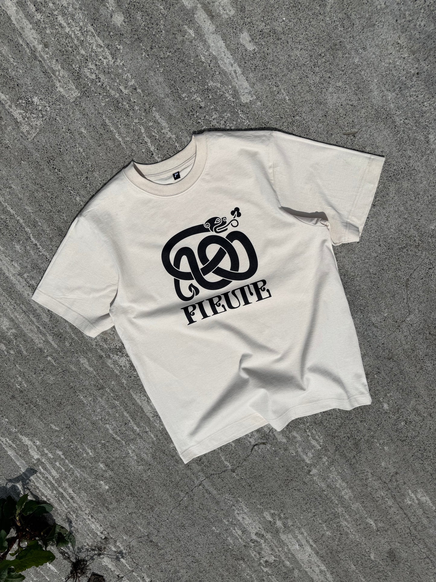 Celtic Lion - Natural Raw